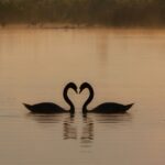 Transition 2025 → 2026 : Janvier n’est pas un sprint